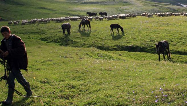 Le Mystérieux Touchéti
