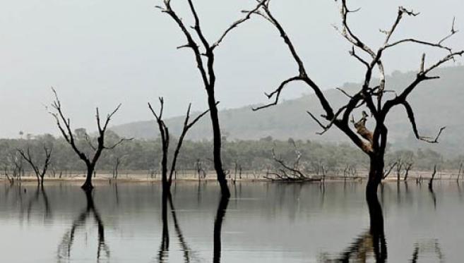 Samaya, le Lac aux Mille Pattes...