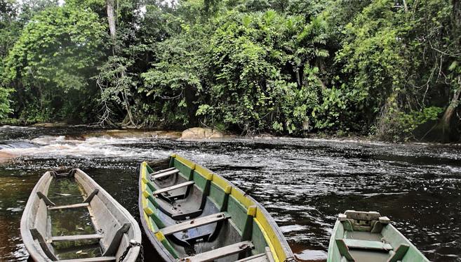 Un Bout d’Amazonie en France