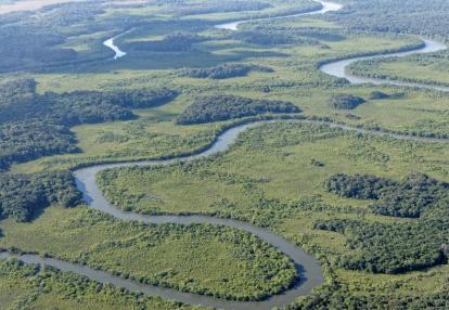 Voyage Découverte en Guyane - Un Bout d’Amazonie en France