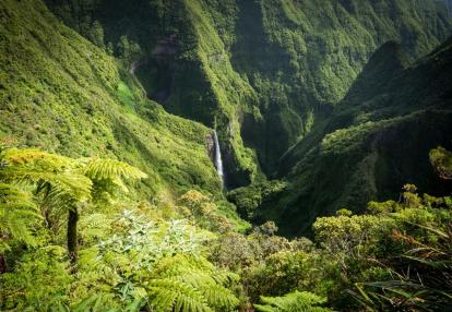 Voyage Découverte à l'Ile de la Réunion - De cirques en cirques