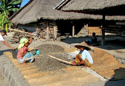 Village sasak - Femmes au travail Voyage Découverte en Indonésie - Lombok, A la Rencontre de l'Ile Piment
