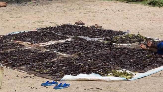 Sur la Route des Epices