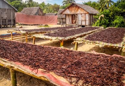 Voyage Découverte à Madagascar - Sur la Route des Epices
