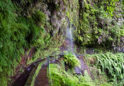 Trail at Levada Do Rei Voyage Découverte à Madère - Madère, île nature entre mer et volcan