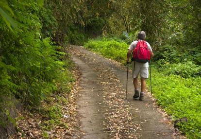 Voyage Découverte en Martinique - Sur la Route de la Trace