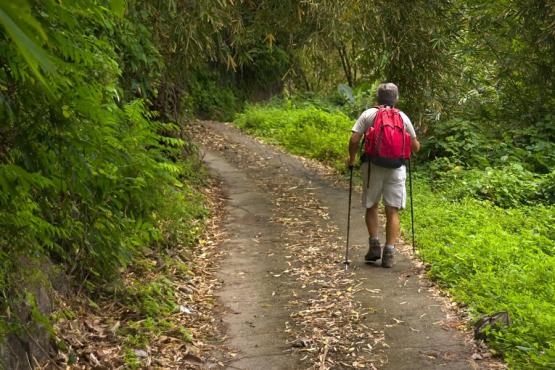 Voyage Découverte en Martinique - Sur la Route de la Trace