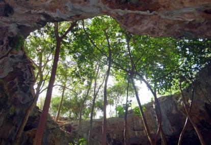 Calcetok Voyage Découverte au Mexique - Voyage sous terre au Yucatan
