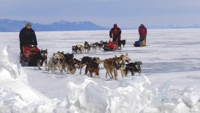Hivernale en Mongolie….. Aventure en traineau à chiens