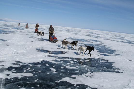Voyage découverte en Mongolie -... Aventure en traîneau à chiens