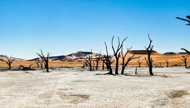 Namibie, Une Terre de Mirages…