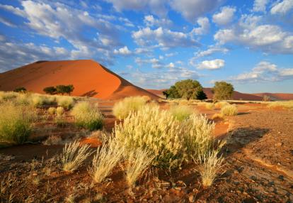Sossusvlei Voyage Découverte en Namibie - Une Terre de Mirages
