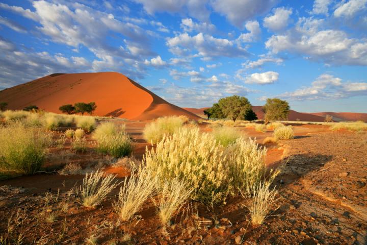 Sossusvlei Voyage Découverte en Namibie - Une Terre de Mirages