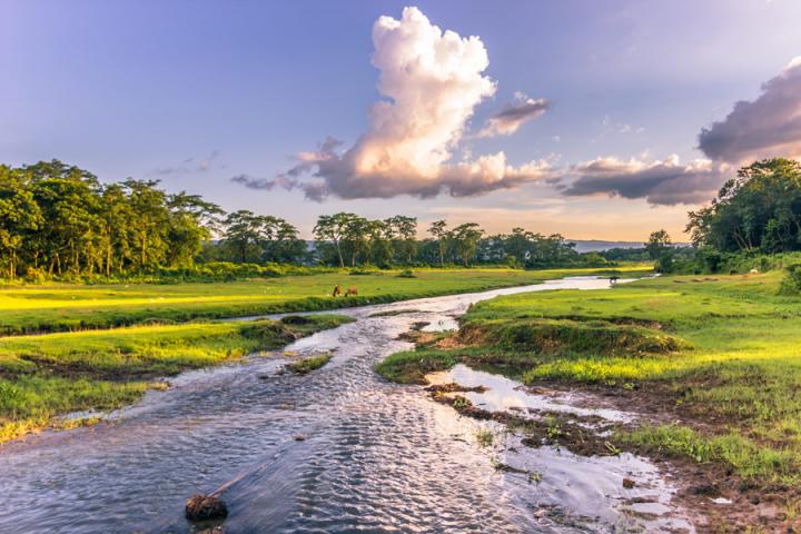 Chitwan National Park Voyage Découverte au Népal - Chitwan, un parc national d'une valeur exceptionnelle