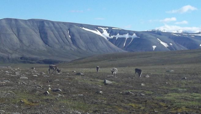 Svalbard...Au Nord, toujours plus au Nord