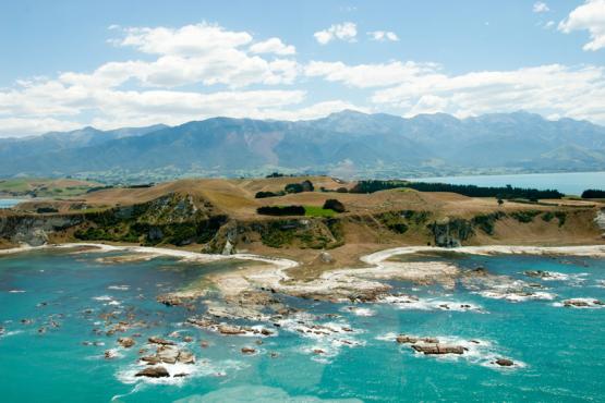 Voyage Découverte en Nouvelle-Zélande - Le Sel Marin et les Monts Enneigés de Kaikoura