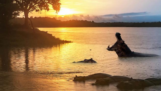 L'Ouganda, la Perle de l'Afrique