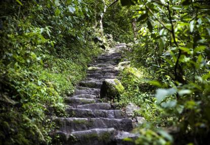 Voyage Découverte au Pérou - Le Chemin de l'Inca