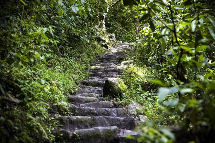 Chemin de l'Inca Voyage Découverte au Pérou - Le Chemin de l'Inca