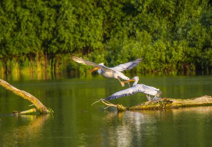Voyage Découverte en Roumanie - Le Delta du Danube