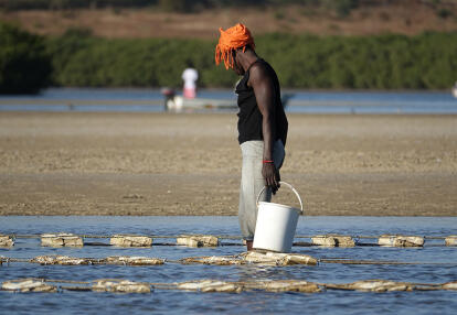 Lagune de la Somone Voyage Découverte au Sénégal - Plages de rêve et villages de la Petite Côte