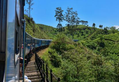 Train True The Fields in Sri Lanka Voyage Découverte au Sri Lanka - Le pays du Thé