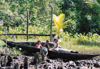 Voyage Découverte au Venezuela - Delta de l’Orénoque, Retour aux Origines