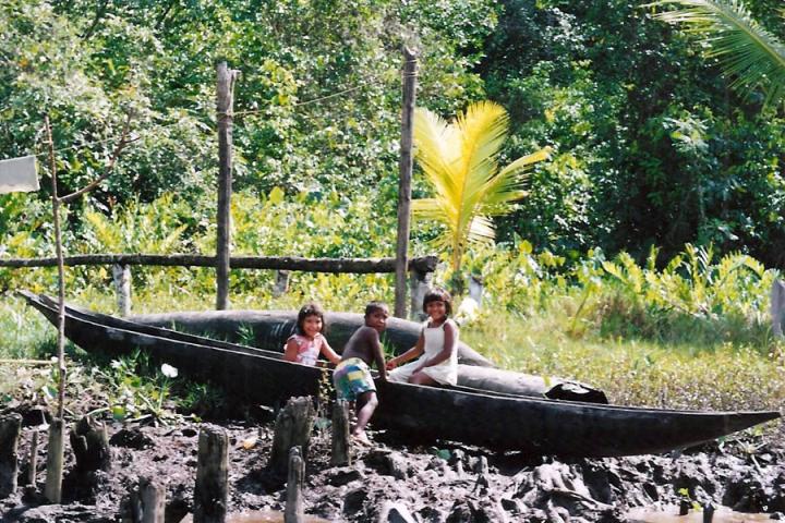 Voyage Découverte au Venezuela - Delta de l’Orénoque, Retour aux Origines