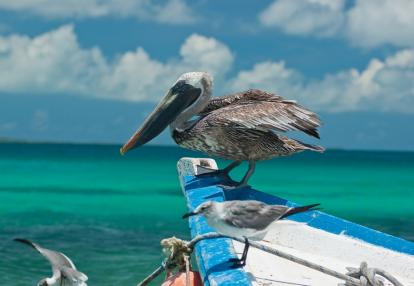Voyage Découverte au Venezuela - Bienvenue à Los Roques
