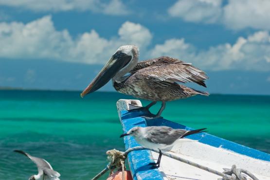 Los Roques Voyage Découverte au Venezuela - Bienvenue à Los Roques