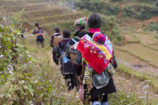 Voyage Découverte au Vietnam - A la rencontre des Ethnies du Nord