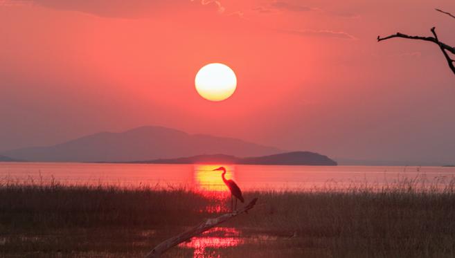 Triade de Parcs Nationaux au Zimbabwe