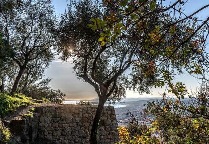 Voyage Découverte en France - Nice Autrement, itinéraire hors des sentiers battus