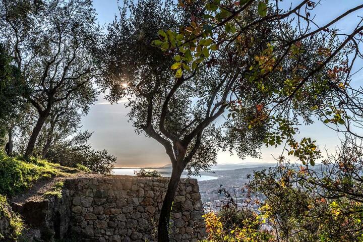 Nice - Panorama et coucher de soleil sur la baie des anges - Parc du Vinaigrier Voyage Découverte en France - Nice Autrement, itinéraire hors des sentiers battus
