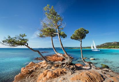 Corse - Plage de palombaggia Voyage Découverte en Corse - Découverte en bateau
