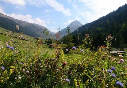 Voyage Découverte à Andorre - Entre lacs et montagnes