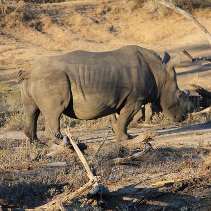 Voyage en Afrique du Sud sur Mesure