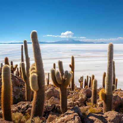 Les Incontournables - Bolivie
