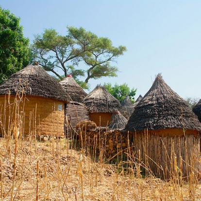 Guide de Voyage - Cameroun