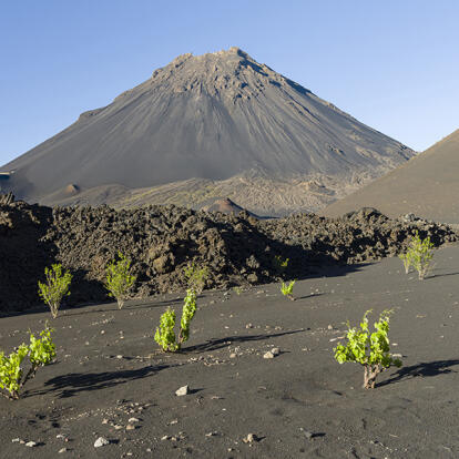 Les Incontournables - Cap Vert