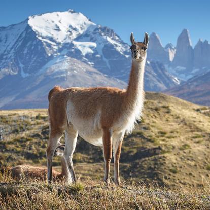 Guide de Voyage - Chili