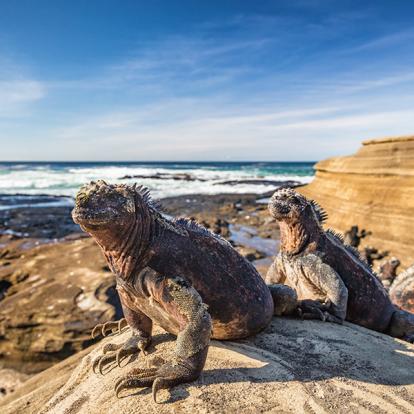 Les Incontournables - Equateur