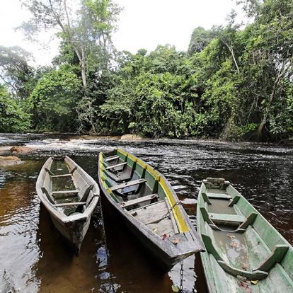Voyage en Guyane Sur Mesure