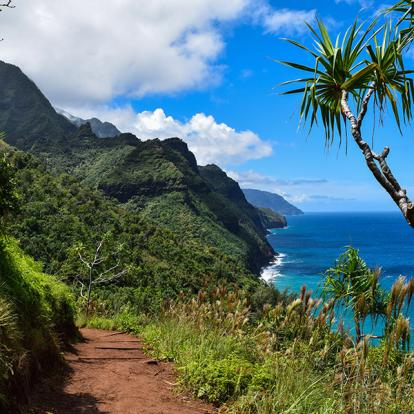 Guide de Voyage - Hawaii