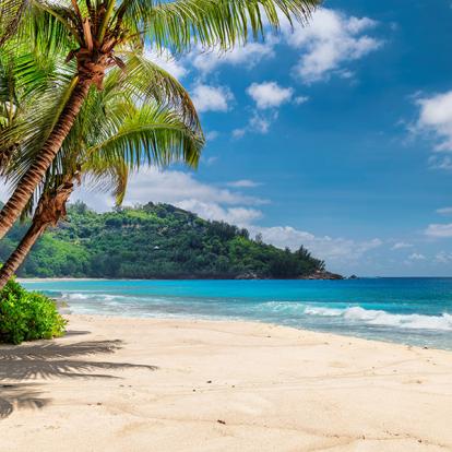 Voyage en Jamaïque Sur Mesure