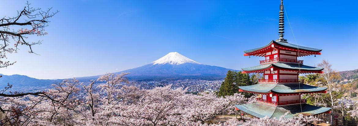 Arakurayama Sengen Park Guide de Voyage - Japon