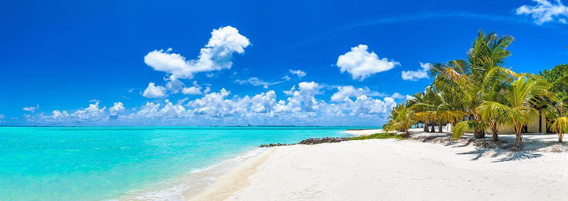 Plongée aux Maldives Guide de Voyage - Maldives