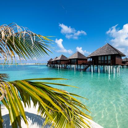 Guide de Voyage - Maldives