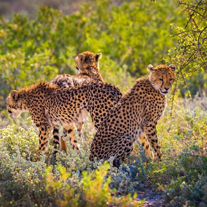 Guide de Voyage - Namibie
