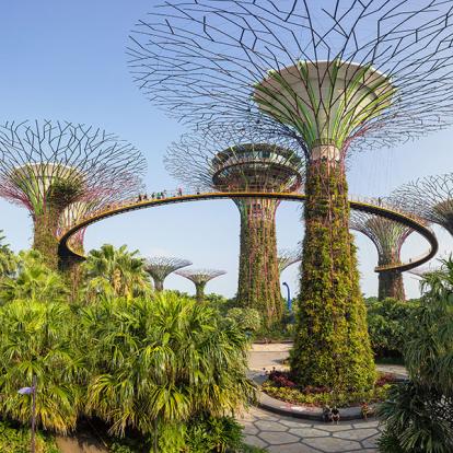 Guide de Voyage - Singapour